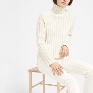 Everlane Wool-Cashmere Ribbed Turtleneck Sweater